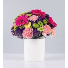 Flowerpot Gerbras Fuchsia and Carnations