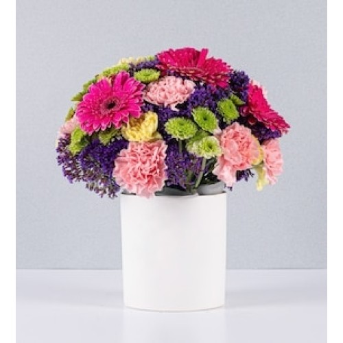 Flowerpot Gerbras Fuchsia and Carnations