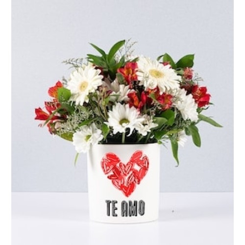 Flowerpot Daisies and Gerberas With Love Sticker