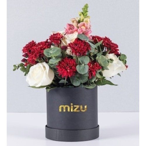 Box Daisies and Roses with Dog
