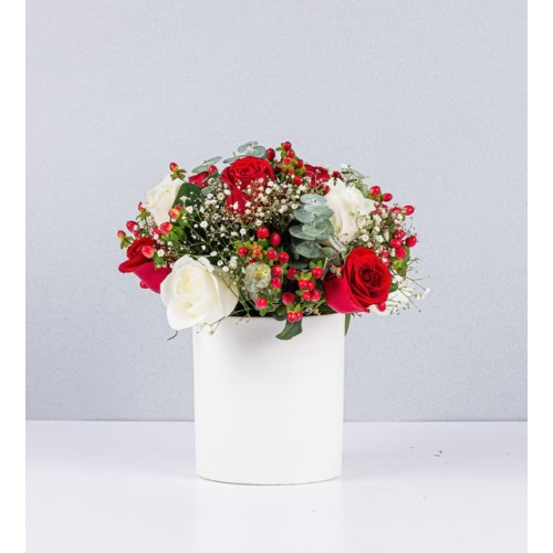 Pot Roses Combined With Gypsum