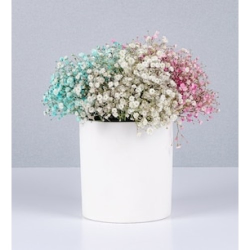 Gypso Colors Pot