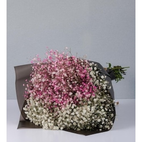 Pink and White Gypsum Bouquet