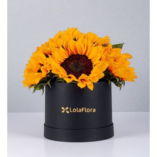 Sunflower Box