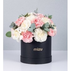 Combined Carnations Box