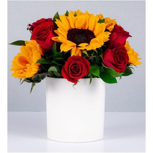 Sunflowers and Red Roses in White Vase