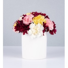 Flowerpot Daisies and Carnations