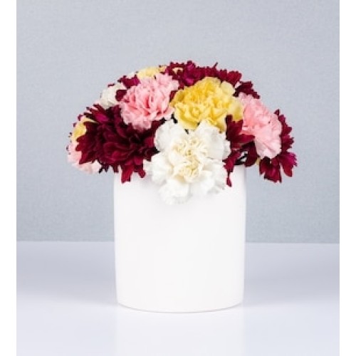 Flowerpot Daisies and Carnations
