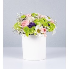 White Pot Daisies, Carnations and Yoko