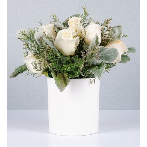 Potted White Roses And Limonium