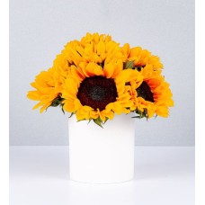 Sunflower Pot