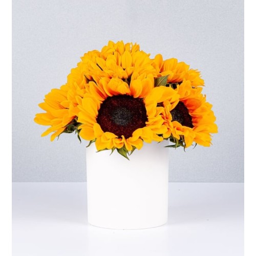 Sunflower Pot