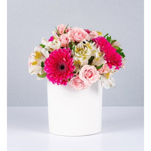 Pot Of Fuchsia Gerberas And Mini Pink Rose