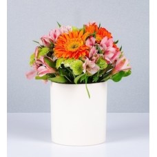 Orange Gerbera and Astromelias Pot