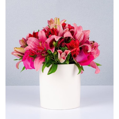 Potted Lily Pinks And Pink Topaz