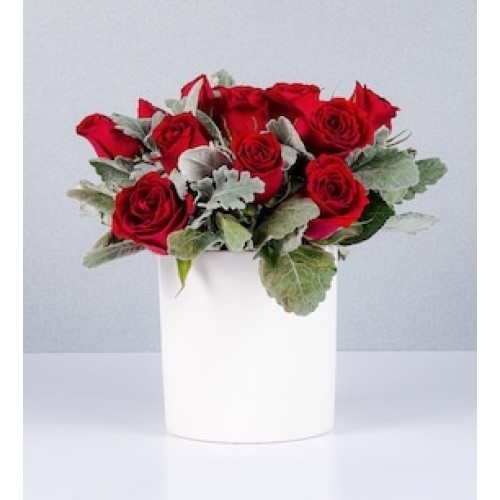 Potted Red Roses and Miller