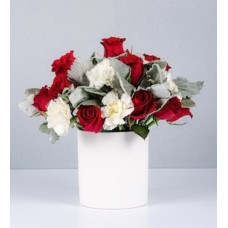 Pot Red Roses, Miller and White Carnation