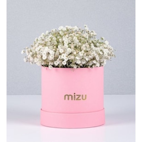 Gypso Pink Box