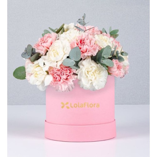 Pink Box Of Combined Carnations
