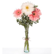 White Gerbera and Red Gerberas in a Vase