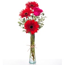 Red Gerberas and Topaz Rose in a Vase