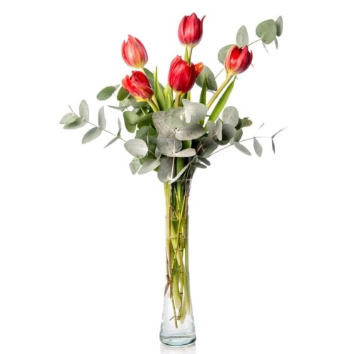Red Tulips in a Glass Vase