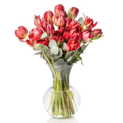 Red Tulip and Eucalyptus Arrangement in a Glass Vase