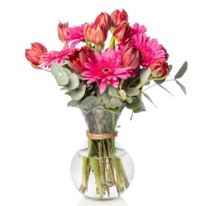 Red Tulip and Fuchsia Gerbera in a Glass Vase