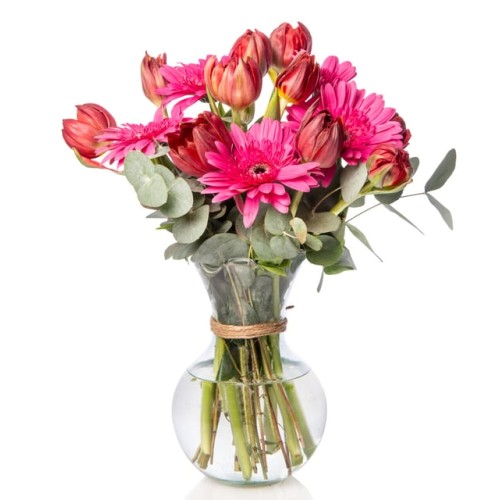 Red Tulip and Fuchsia Gerbera in a Glass Vase