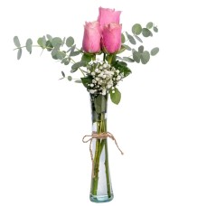 Three Pink Roses in a Cylindrical Vase
