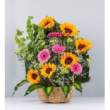 Basket of Sunflowers and Fuchsia Gerberas