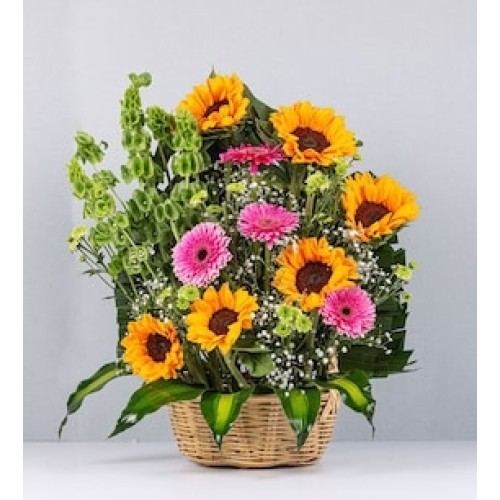 Basket of Sunflowers and Fuchsia Gerberas