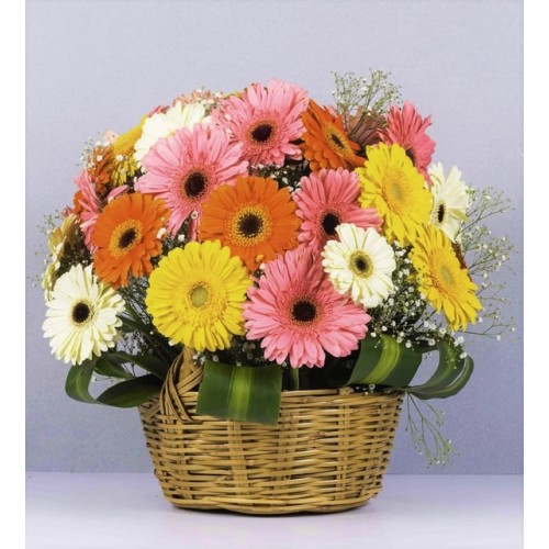 Colorful Basket Of Gerberas