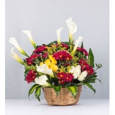 Basket of Daisies and Calla Lilies