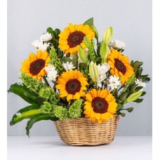 Basket Of Daisies, Lilies And Sunflowers