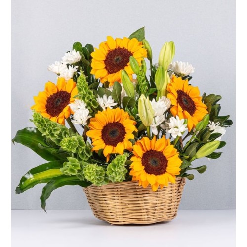 Basket Of Daisies, Lilies And Sunflowers
