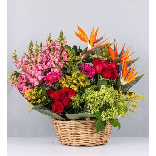 Mixed Premium Basket