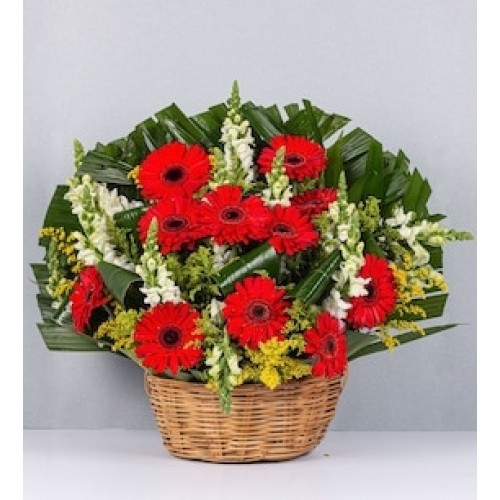 Red Gerbera Basket and Puppies