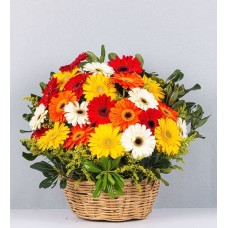 Basket Of Autumn Gerberas