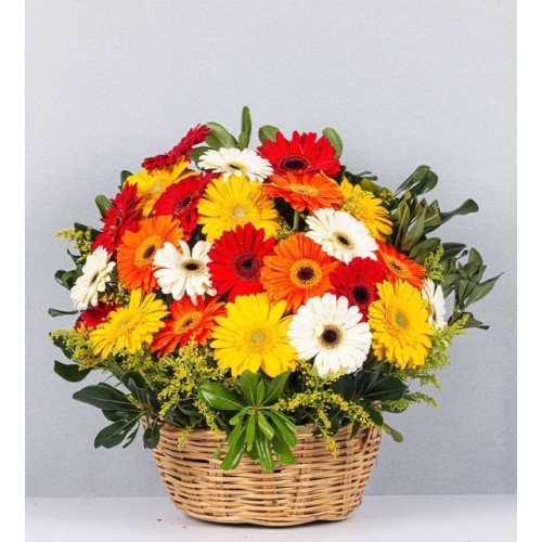 Basket Of Autumn Gerberas