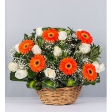 Basket of Orange Gerbera and White Rose