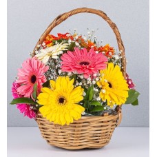 Basket Jr Of Gerberas