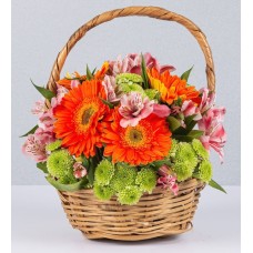 Basket Jr Gerbera Orange And Yoko