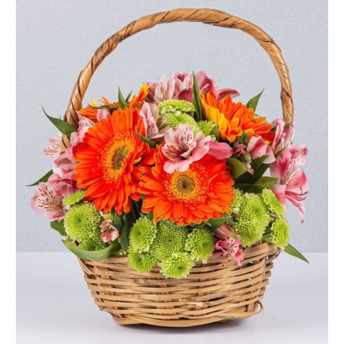 Basket Jr Gerbera Orange And Yoko