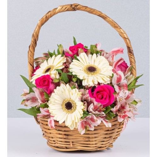 Basket Jr Gerbera White And Topaz Rose