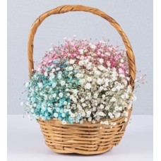 Basket Jr Gypsophilia Colors