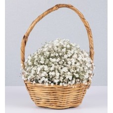 Basket Jr Gypso White