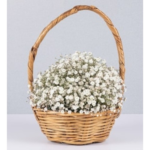 Basket Jr Gypso White