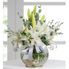 Lilies In Aquarium