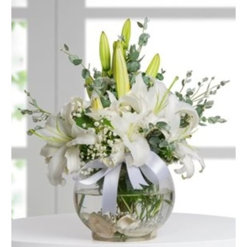 Lilies In Aquarium